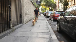 Trottoir étroit, deux chiens en laisse : la consigne simple pour gérer ce face-à-face sans déraper